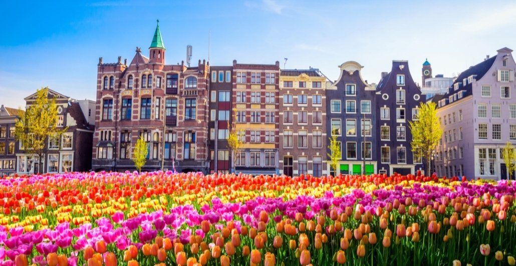 Netherland Tour Package cost