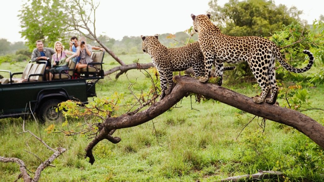 South Africa Travel Package